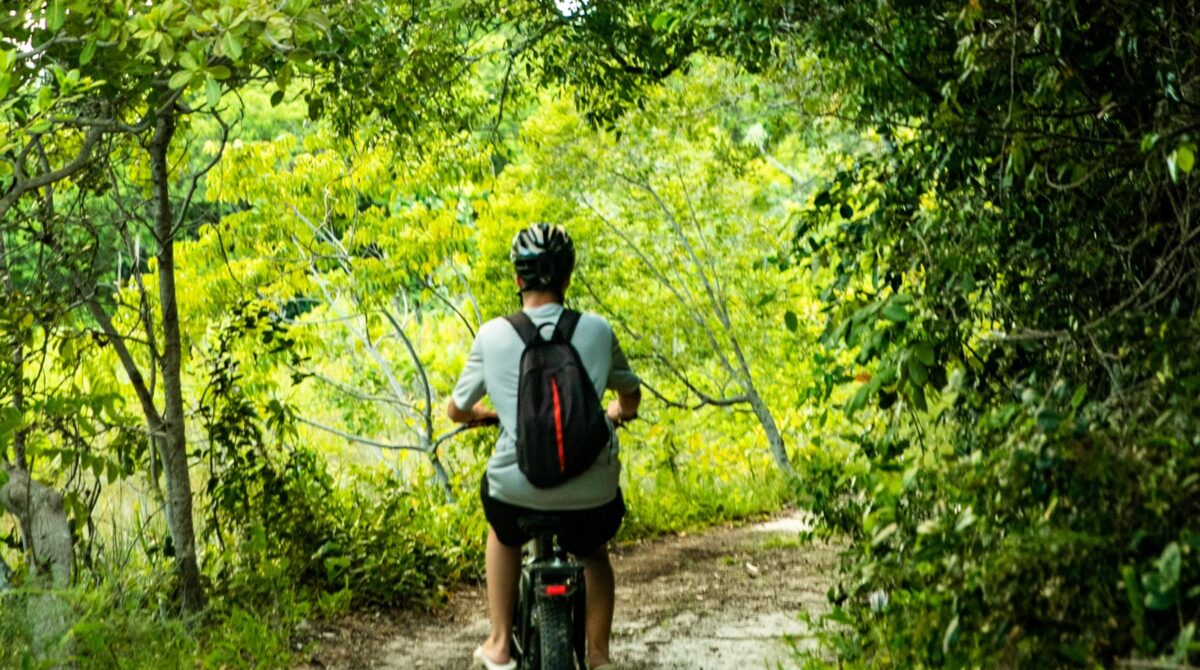 Bike Elétrica – Lagoa Azul / Meliponário / Morro da Vista